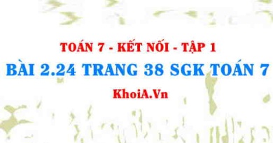 Bài 2.24 trang 38 SGK Toán 7 tập 1 Kết nối tri thức